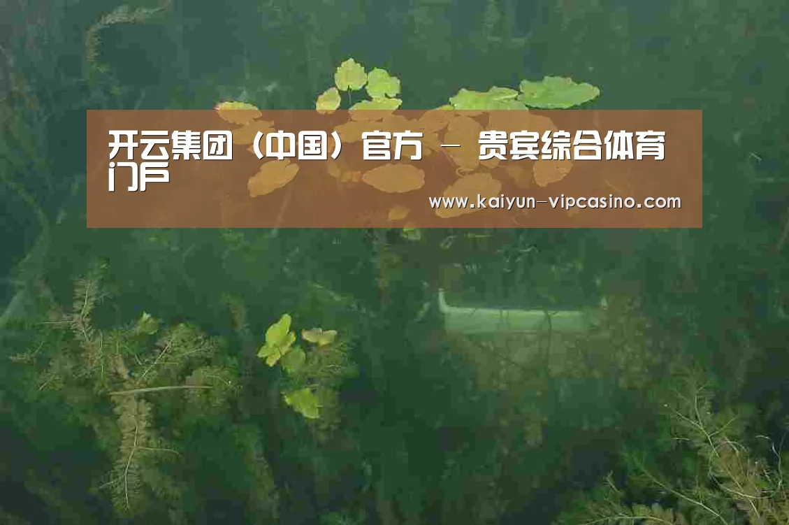 案例展示三(图1)