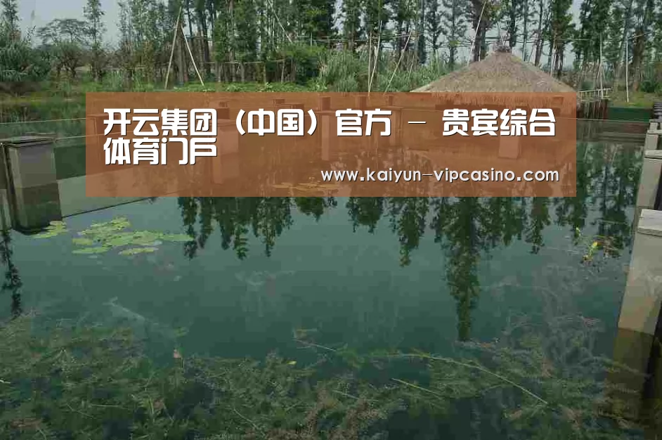 案例展示二(图1)