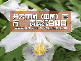 产品名称二