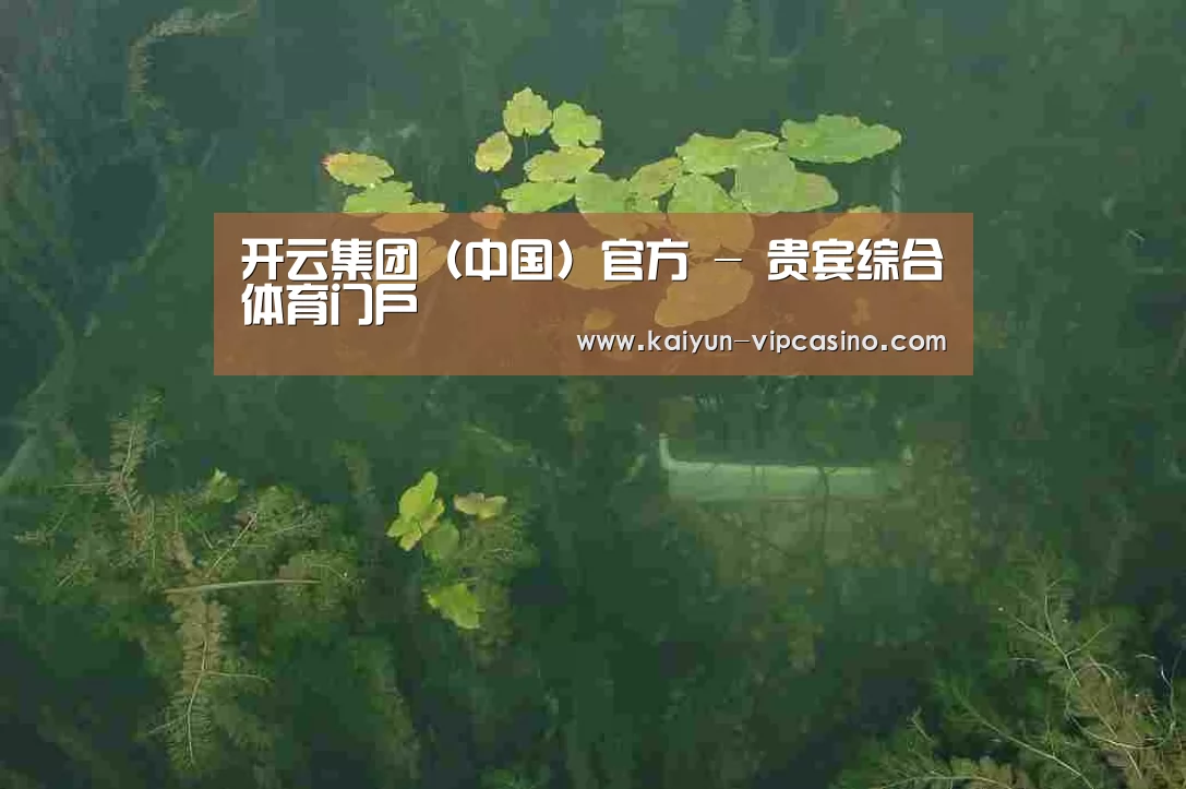 案例展示三