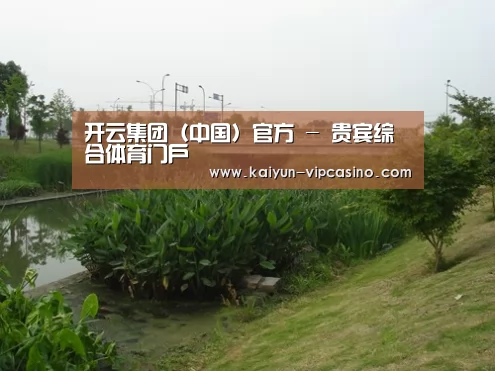 案例展示四