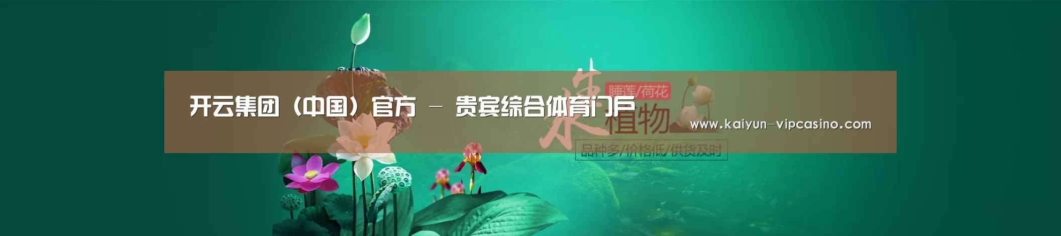 鲜花水草花卉网站模板