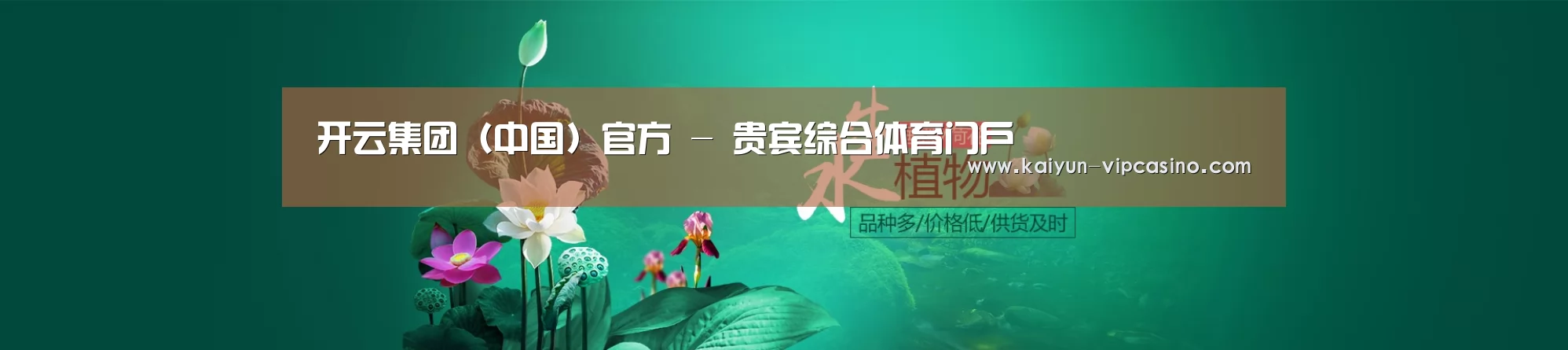 鲜花水草花卉网站模板