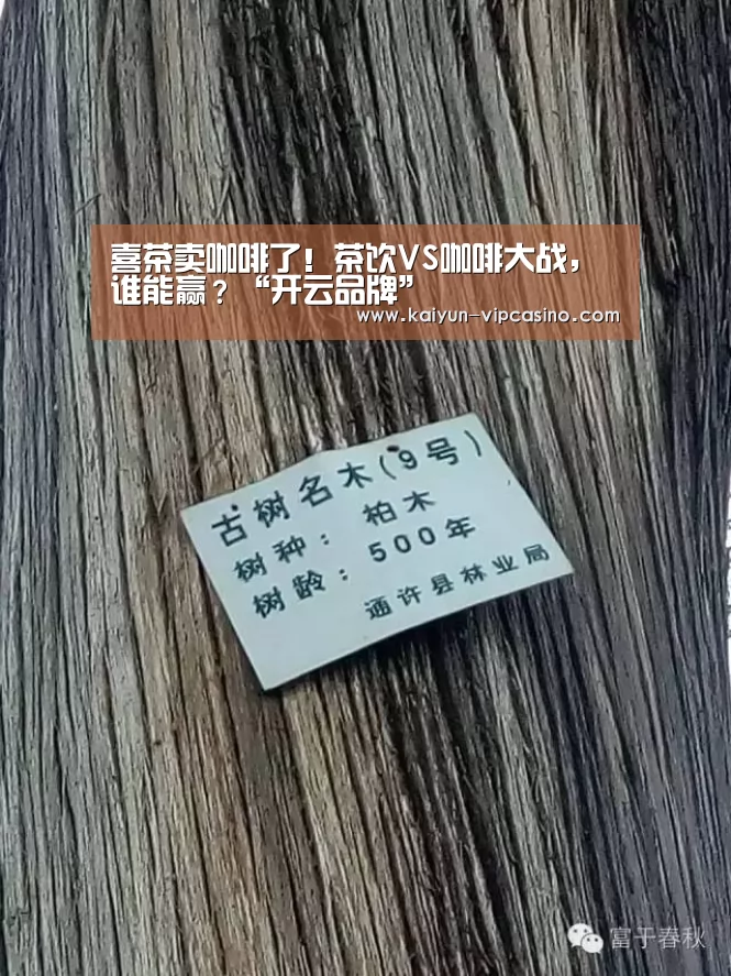 开云网站