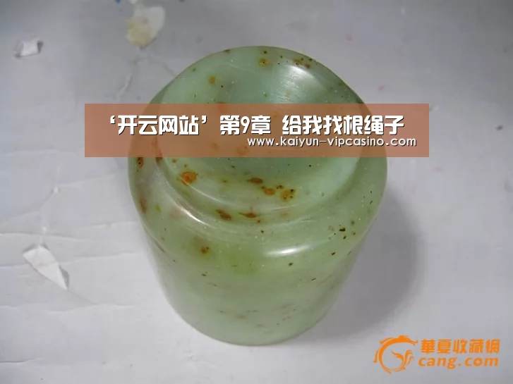 ‘开云网站’第9章 给我找根绳子(图2) 开云网站