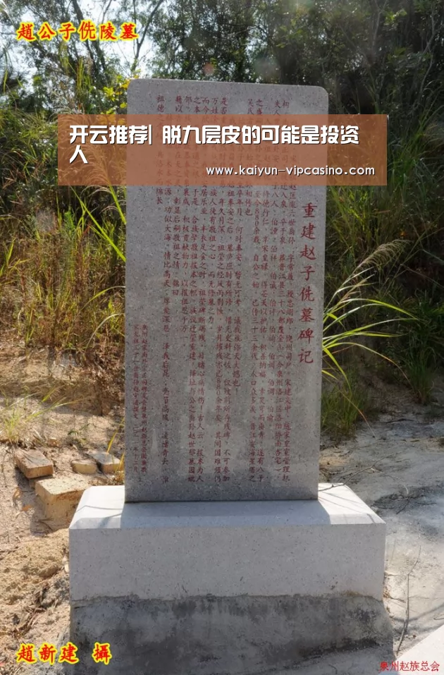 开云推荐|
脱九层皮的可能是投资人(图3) 开云推荐